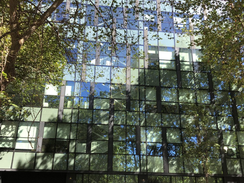 Fachada de cristal que refleja árboles y cielo
