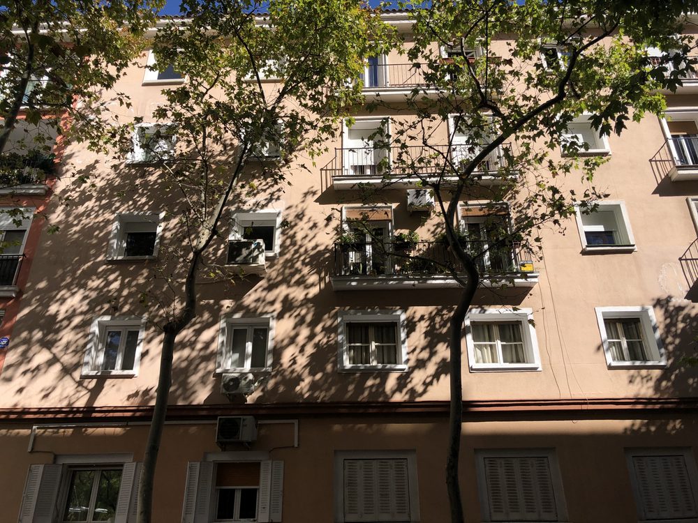 Sombras de árboles sobre una fachada de pisos