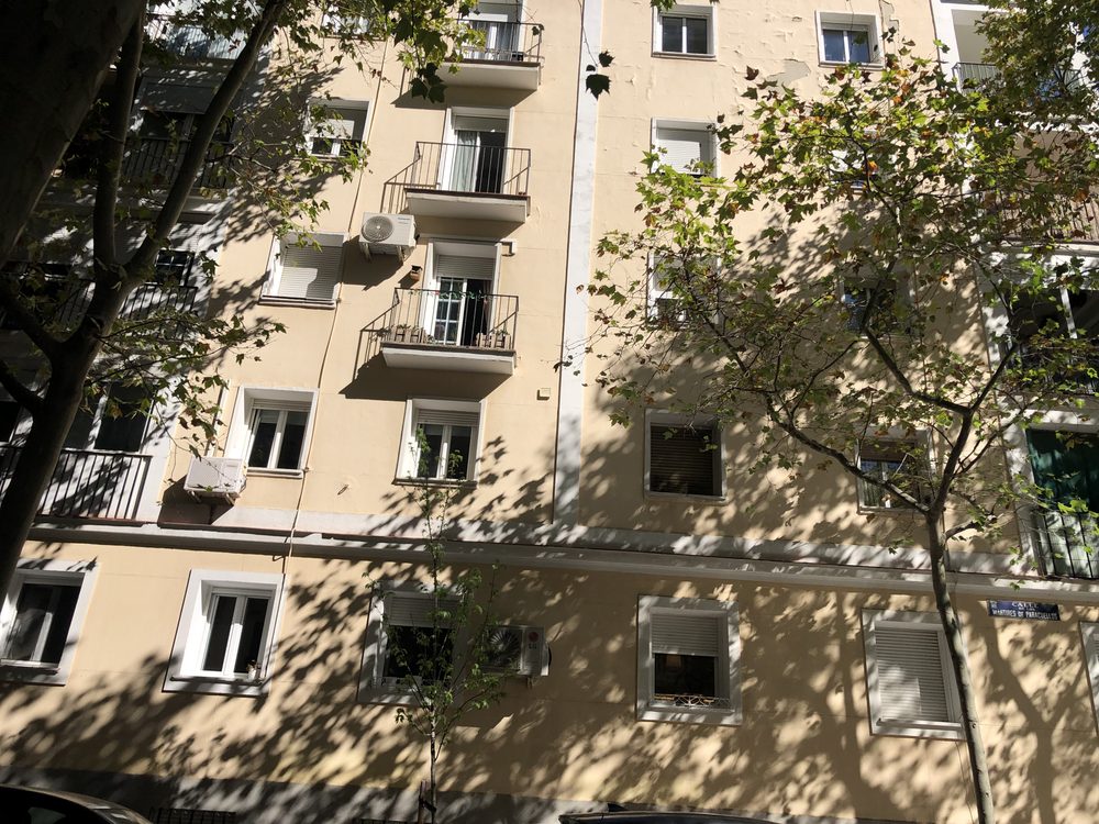 Fachada con balcones entre ramas